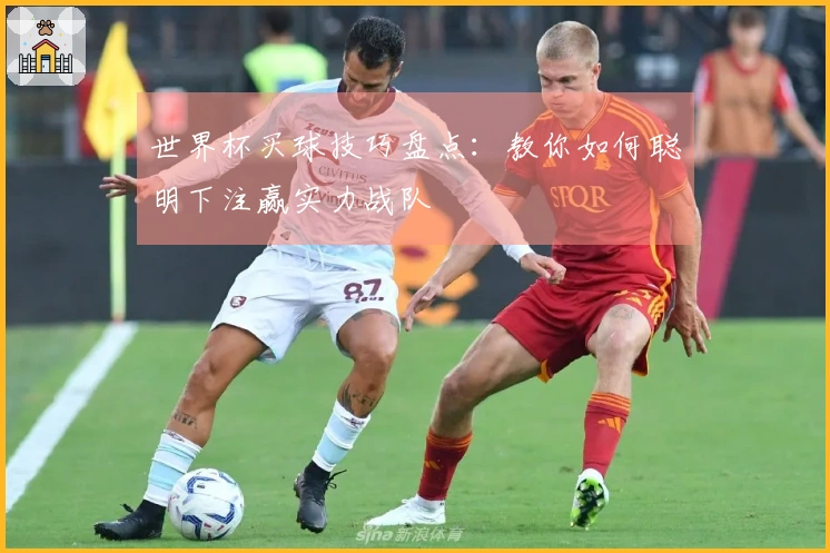 世界杯买球技巧盘点：教你如何聪明下注赢实力战队