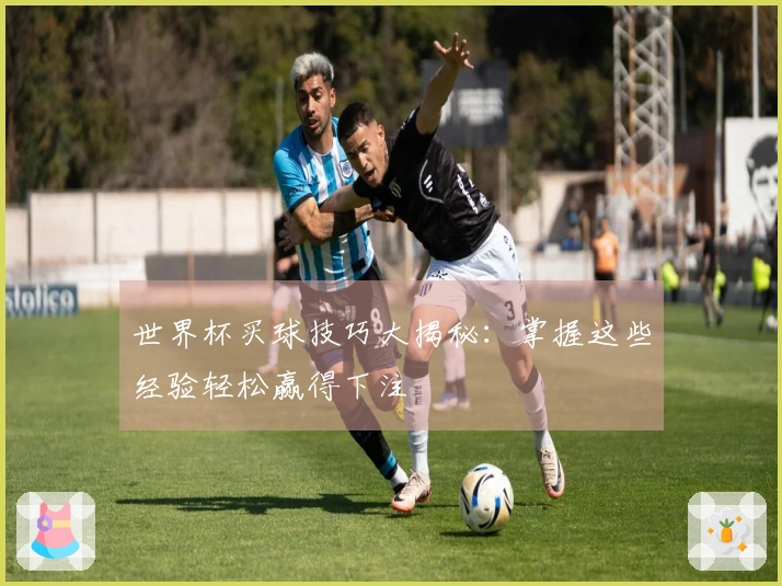 世界杯买球技巧大揭秘：掌握这些经验轻松赢得下注