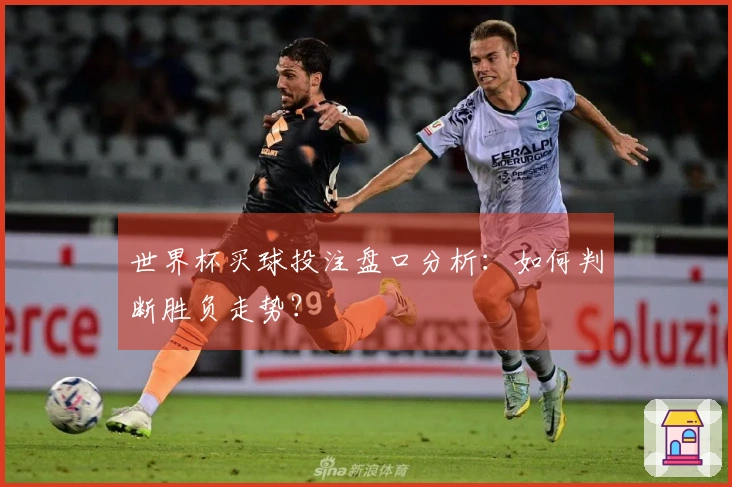 世界杯买球投注盘口分析：如何判断胜负走势？