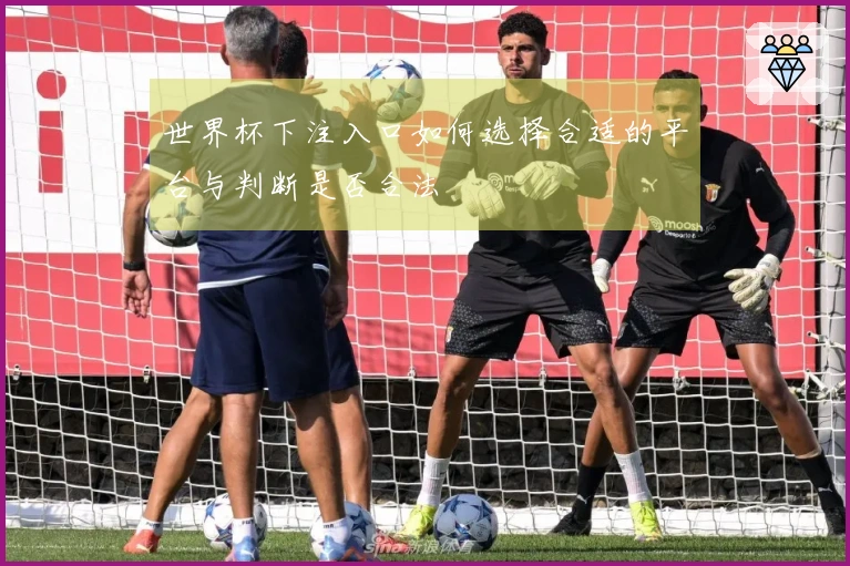 世界杯下注入口如何选择合适的平台与判断是否合法